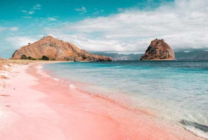 komodo cruises labuan bajo pink beach