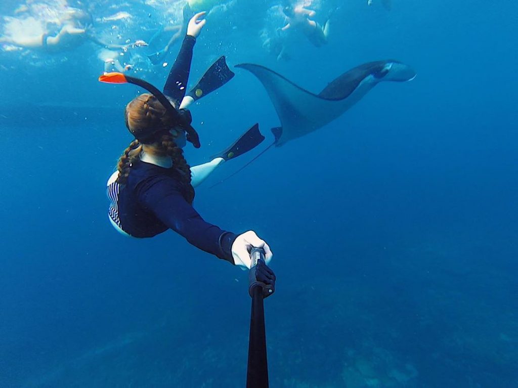 The Best Komodo Snorkeling Sites You Should Visit