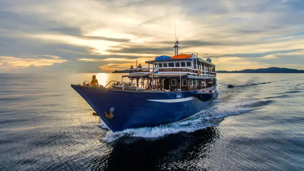 Wallacea dive cruise